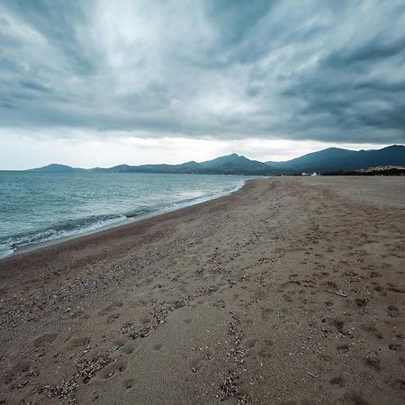 Studio Les Pieds Dans L'Eau Argeles Sur Mer Ngoại thất bức ảnh