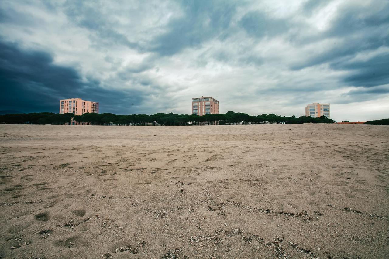 Studio Les Pieds Dans L'Eau Argeles Sur Mer Ngoại thất bức ảnh