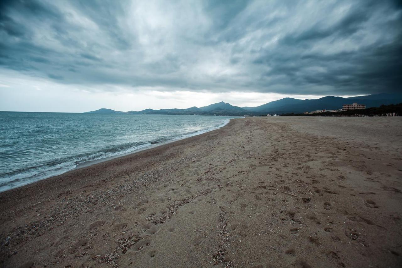 Studio Les Pieds Dans L'Eau Argeles Sur Mer Ngoại thất bức ảnh