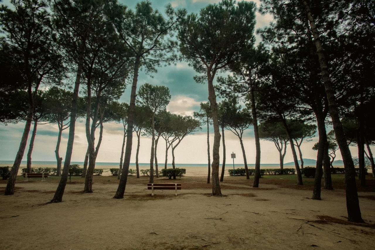 Studio Les Pieds Dans L'Eau Argeles Sur Mer Ngoại thất bức ảnh